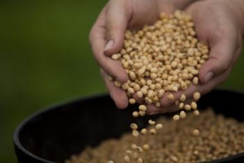 Colheita de soja atinge 16% da área plantada no País, diz AgRural