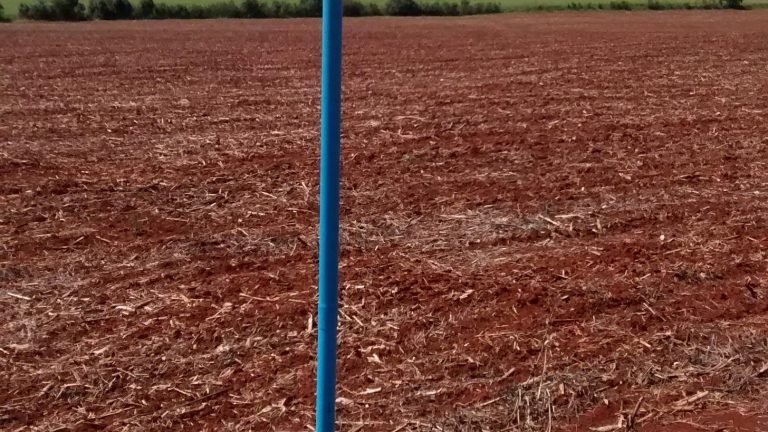 Sistema permite que produtor controle umidade do solo pelo celular Sistema permite que produtor controle umidade do solo pelo celular