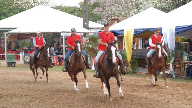 Cavalo mangalarga ganha data comemorativa da raça Cavalo mangalarga ganha data comemorativa da raça