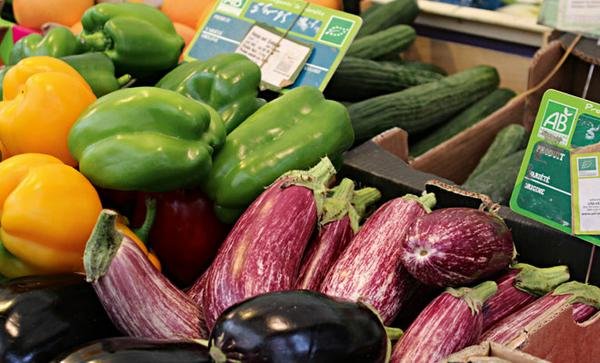 A multiplicação dos organicos A multiplicação dos organicos