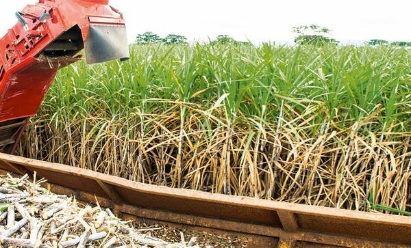 Os 100 nomes mais influentes do agronegócio – Bioenergia 2016 Os 100 nomes mais influentes do agronegócio – Bioenergia 2016