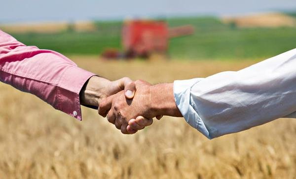 Os 100 nomes mais influentes do agronegócio – Consultorias 2016 Os 100 nomes mais influentes do agronegócio – Consultorias 2016
