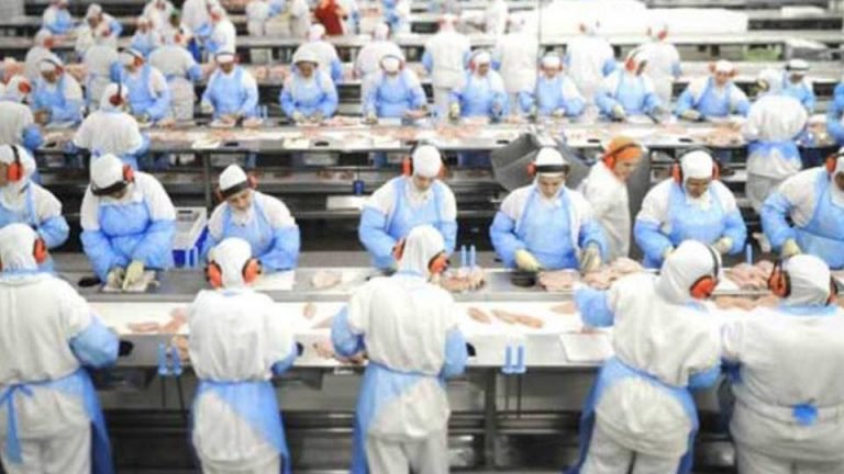 Big Frango, da JBS, cresce 20% em vendas em Minas Gerais Big Frango, da JBS, cresce 20% em vendas em Minas Gerais