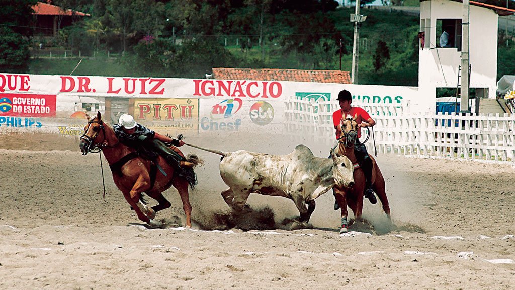 Vaquejada é Patrimônio cultural Vaquejada é Patrimônio cultural