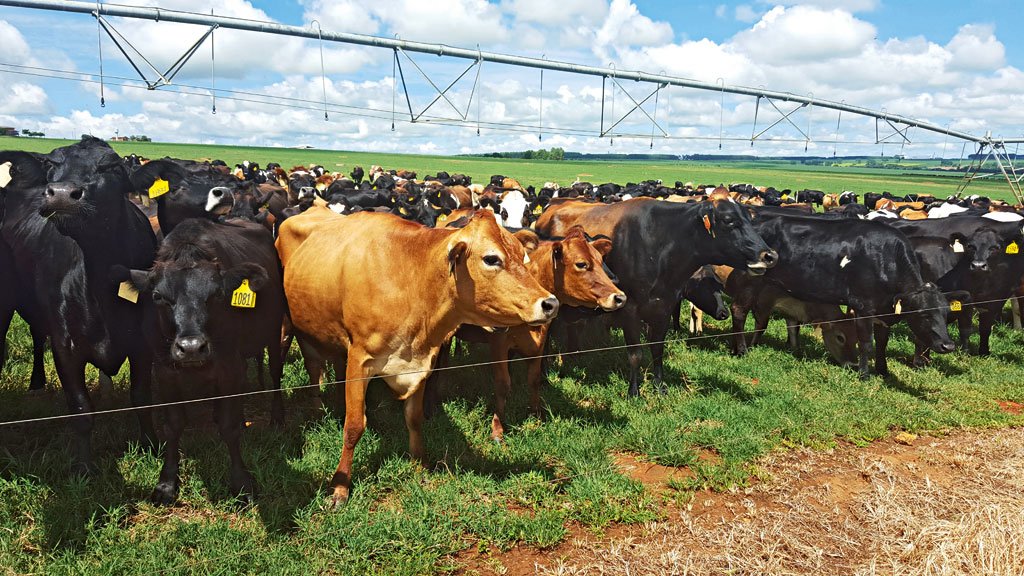 A Nova Zelândia goiana A Nova Zelândia goiana