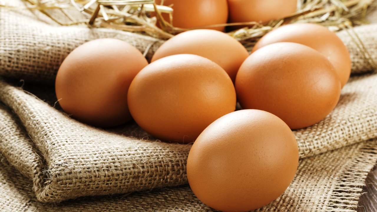 Produção de ovos bate recorde no País Produção de ovos bate recorde no País
