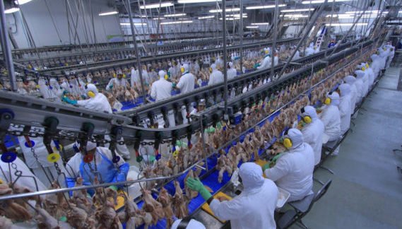 BRF reverte prejuízo e anota lucro líquido de R$ 22 milhões no 1º trimestre BRF reverte prejuízo e anota lucro líquido de R$ 22 milhões no 1º trimestre
