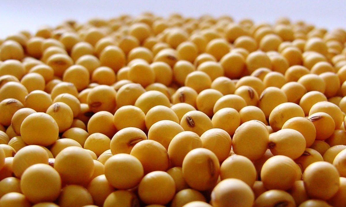 Entidades são contrárias à taxação do agronegócio Entidades são contrárias à taxação do agronegócio