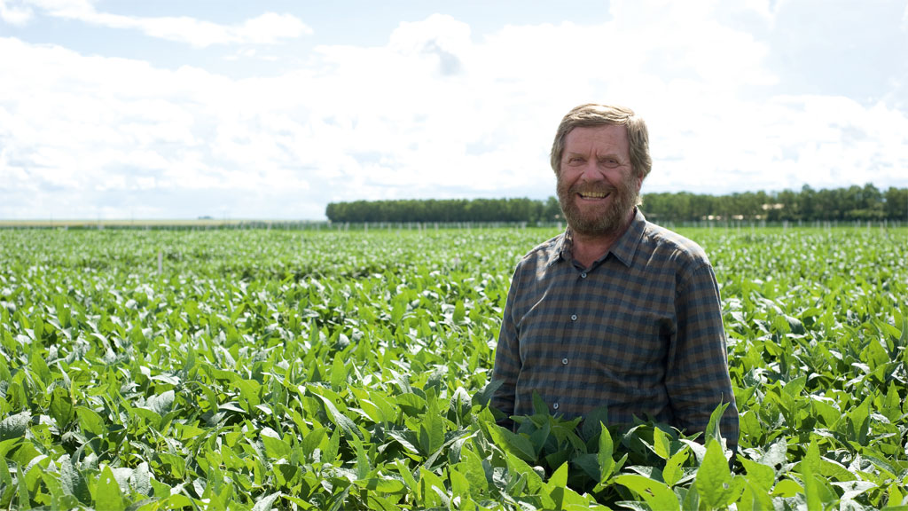 A União faz a força: Rudolf Aernoudts, que cultiva 15 mil hectares de sementes, tem uma parceria com dois agricultores amigos, para distribuir a produção vendida e baratear os custos