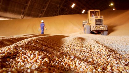 GRÃO DE OURO: o cereal do País ganhou status como uma commodity importante no mercado internacional