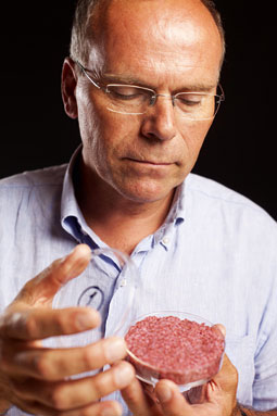 “com apenas uma célula, posso produzir dez mil toneladas de carne” Mark Post, co-fundador da Mosa Meat