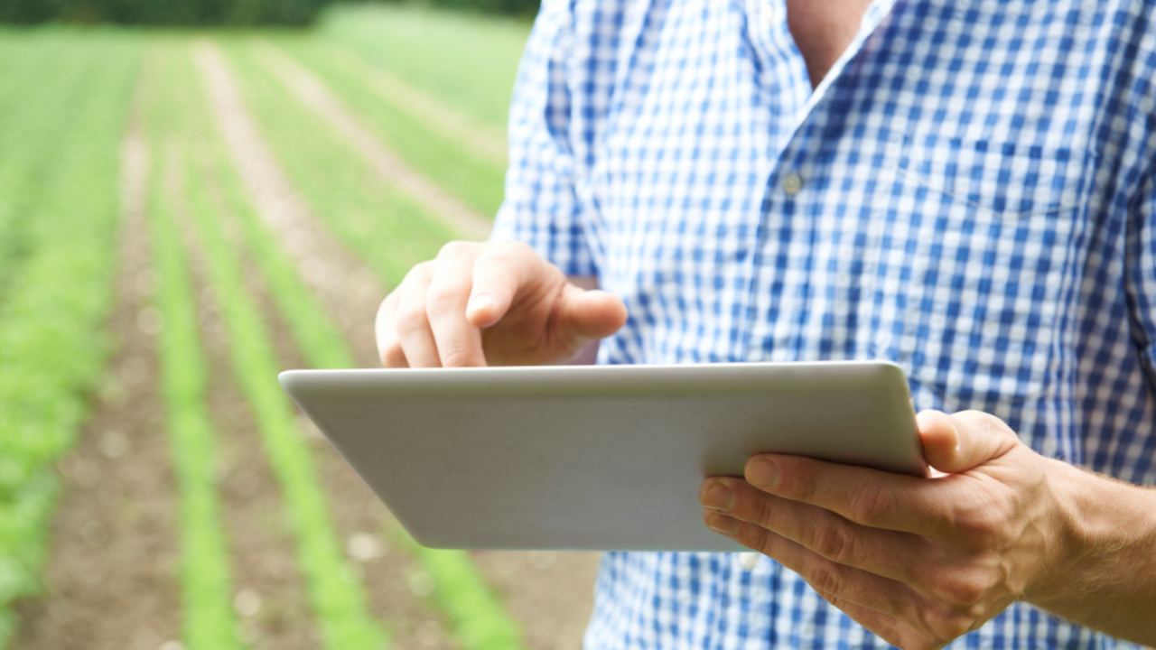 Dinheiro Rural discute gestão de carreira e o futuro da tecnologia em São Paulo Dinheiro Rural discute gestão de carreira e o futuro da tecnologia em São Paulo