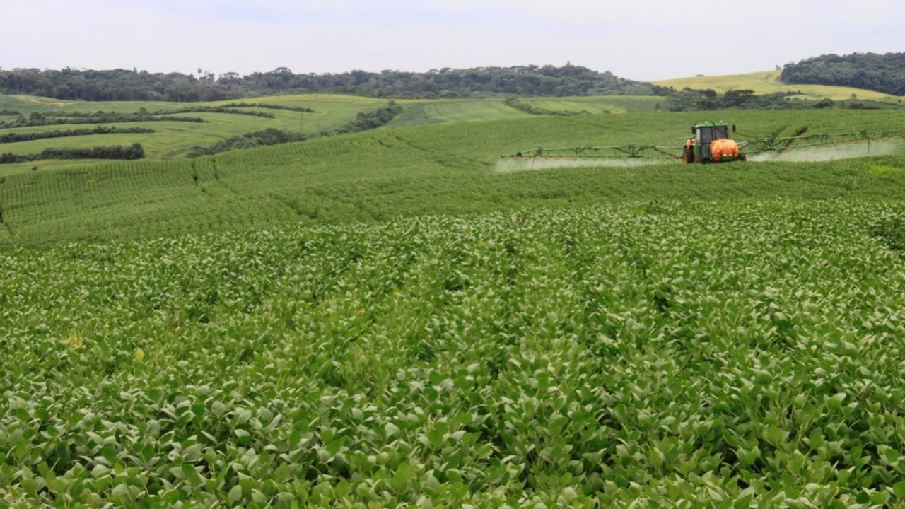 Insumos em alta e queda do preço de commodities agrícolas pressionam o PIB do agronegócio Insumos em alta e queda do preço de commodities agrícolas pressionam o PIB do agronegócio
