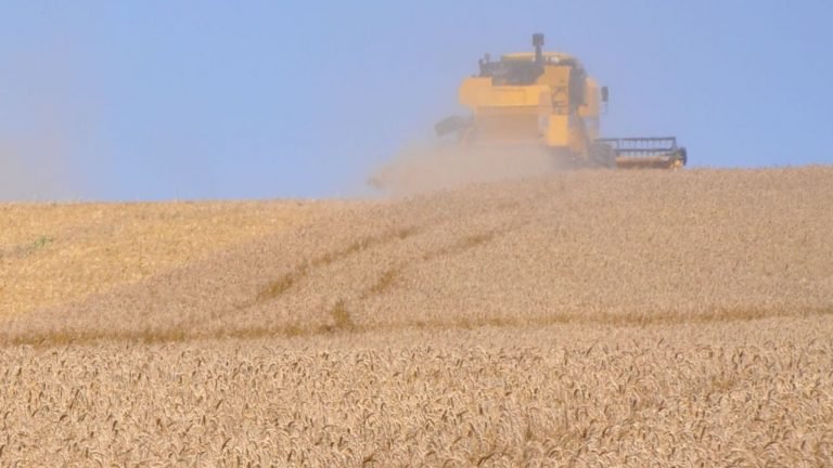 Colheita de soja atinge 57% da área plantada no Brasil em 2018/19, diz AgRural Colheita de soja atinge 57% da área plantada no Brasil em 2018/19, diz AgRural
