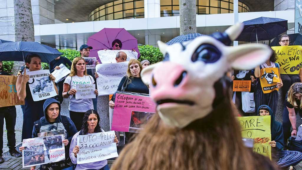 O manifesto dos cientistas brasileiros O manifesto dos cientistas brasileiros