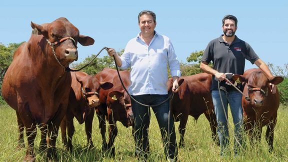 Um campo para as franquias Um campo para as franquias