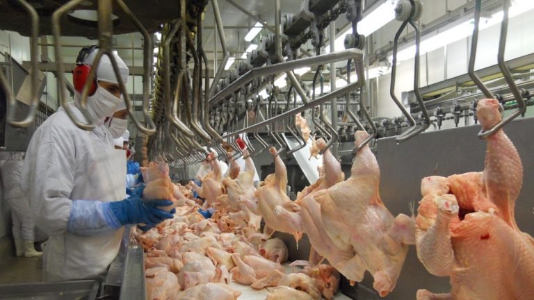 ABPA: BNDES vai ofertar linha de R$ 1,5 bilhão para capital de giro ABPA: BNDES vai ofertar linha de R$ 1,5 bilhão para capital de giro