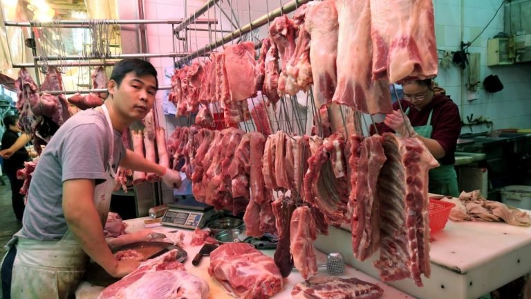 FAO eleva para 4,168 milhões número de animais eliminados por peste suína FAO eleva para 4,168 milhões número de animais eliminados por peste suína