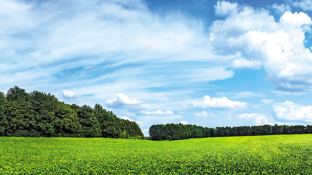 Entidades do agronegócio apresentam resultados do Soja Plus em Campo Grande Entidades do agronegócio apresentam resultados do Soja Plus em Campo Grande