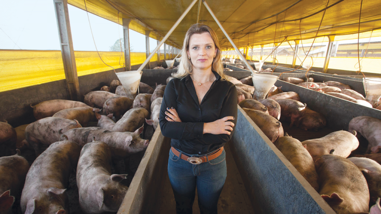 Terra sustentável: ao lado da produção de suínos da família, a veterinária Deborah Gerda De Geus, de Tibaji (PR), traça planos para o futuro. Um deles é criar matrizes  livres de gaiolas