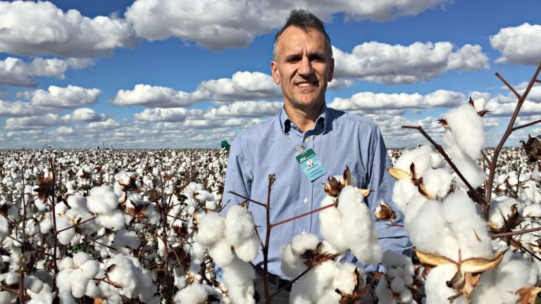 SLC Agrícola prevê ampliar área plantada em 12,5% em 2018/19 SLC Agrícola prevê ampliar área plantada em 12,5% em 2018/19
