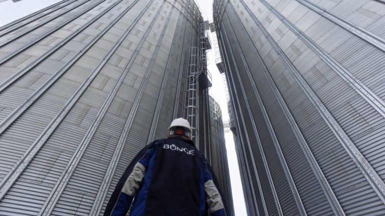 Bunge: margens em processamento de soja devem continuar favoráveis em 2019 Bunge: margens em processamento de soja devem continuar favoráveis em 2019