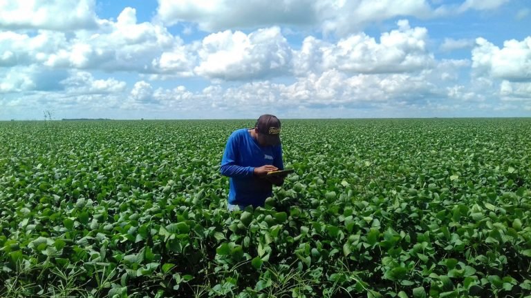 CNA monta comitê para mapear inovações no agronegócio por meio de startups CNA monta comitê para mapear inovações no agronegócio por meio de startups