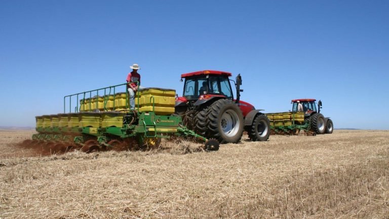 AgRural: plantio de soja atinge 60% da área da safra 2018/19 no Brasil AgRural: plantio de soja atinge 60% da área da safra 2018/19 no Brasil