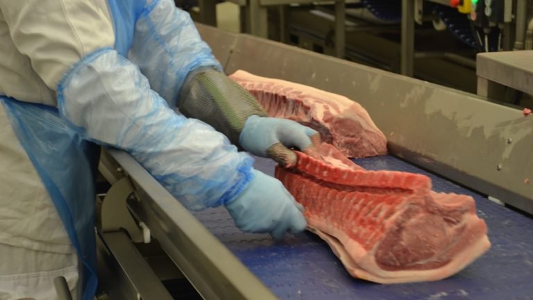 Carne suína: exportação pouco expressiva para a China frustra produtores dos EUA Carne suína: exportação pouco expressiva para a China frustra produtores dos EUA