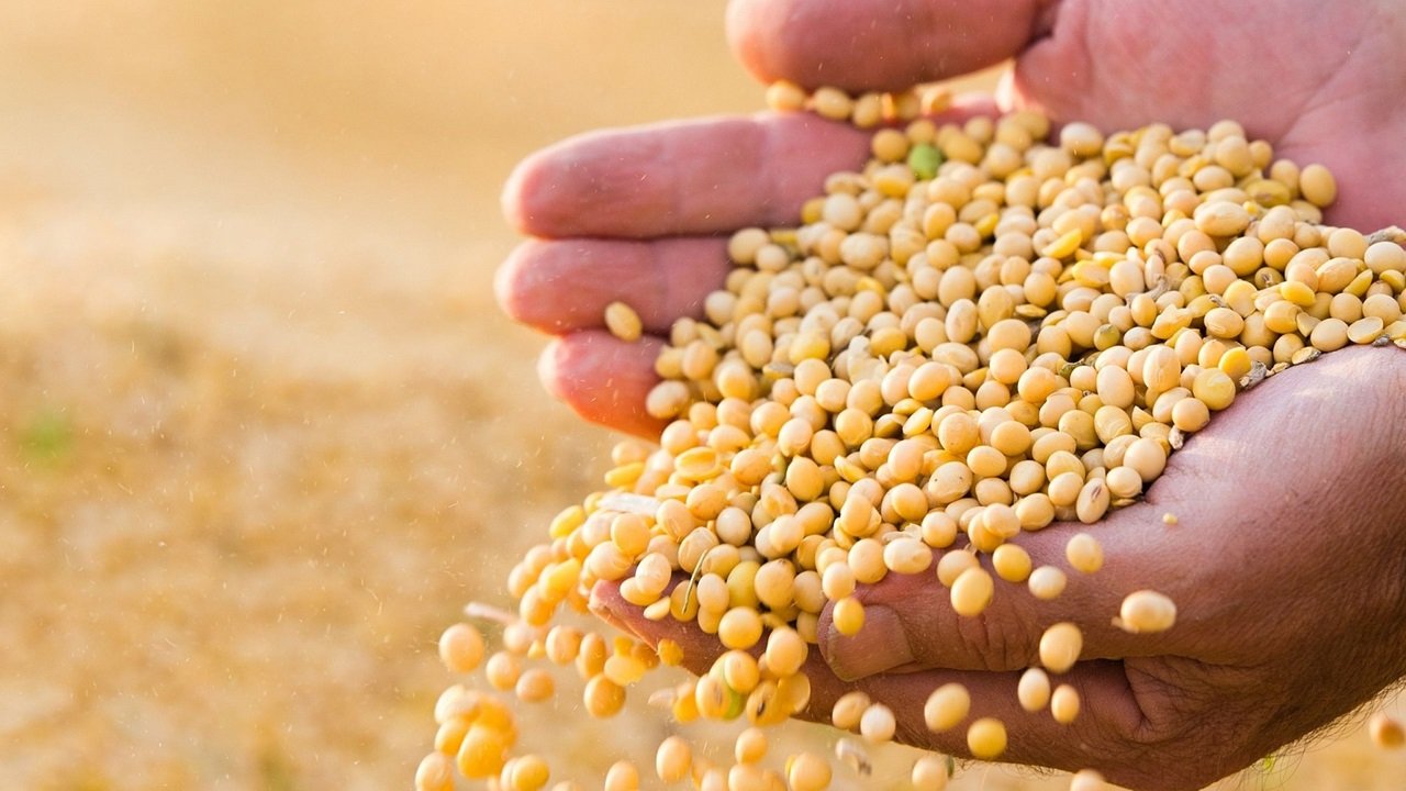 Inscrições prorrogadas para o Desafio Nacional de Máxima Produtividade de Soja do CESB Inscrições prorrogadas para o Desafio Nacional de Máxima Produtividade de Soja do CESB