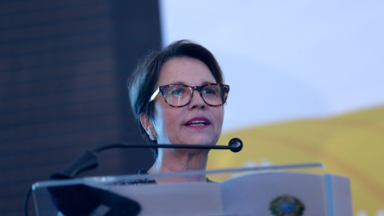 Crédito: Wilson Dias/Agência Brasil/Agência Brasil Crédito: Wilson Dias/Agência Brasil/Agência Brasil