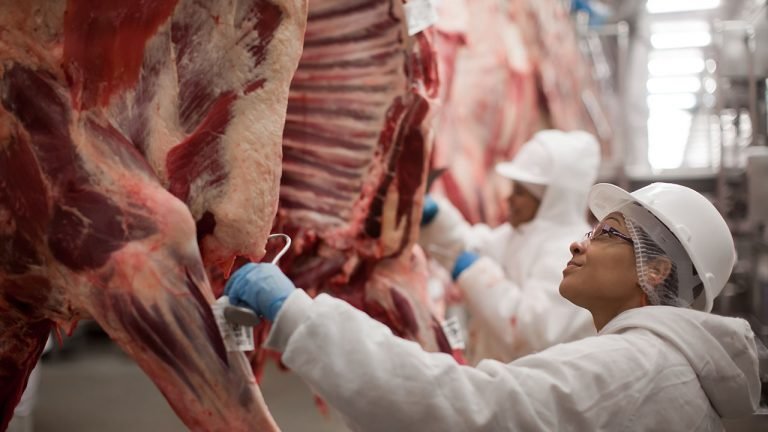 Setor de proteína animal mostra tendência de melhora no quarto trimestre, diz BTG Setor de proteína animal mostra tendência de melhora no quarto trimestre, diz BTG