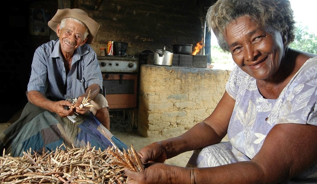 Segurado especial terá novas regras para comprovar atividade rural Segurado especial terá novas regras para comprovar atividade rural