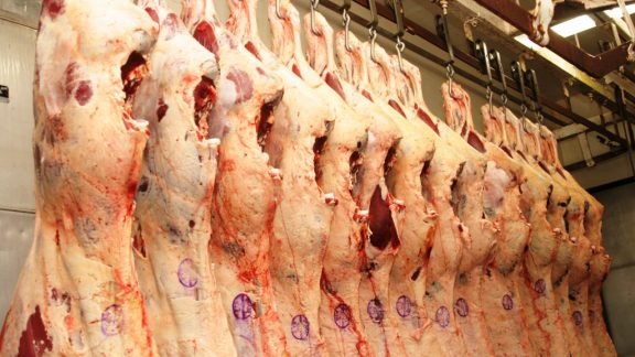 Resultado de imagem para Exportações de carne devem fechar 2019 com recorde de 1,8 milhão de t, diz Abiec