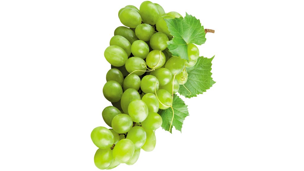 Crédito: Istock Crédito: Istock