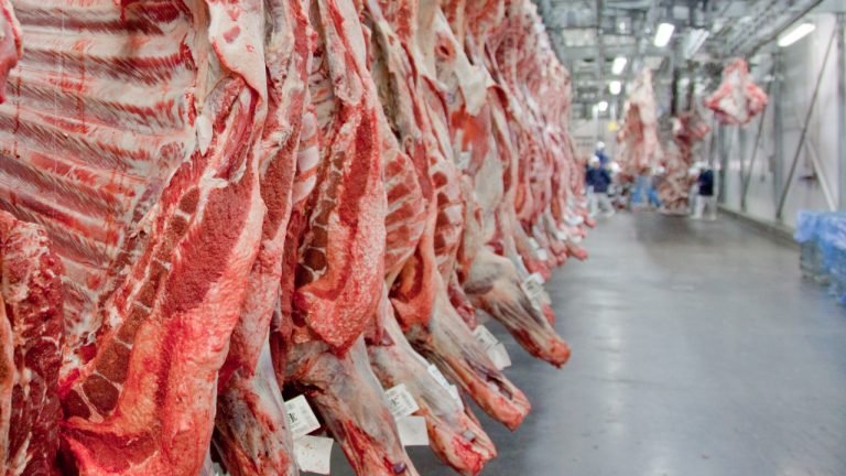 Na Indonésia, Tereza Cristina pede resposta a pedido de exportação de carne Na Indonésia, Tereza Cristina pede resposta a pedido de exportação de carne