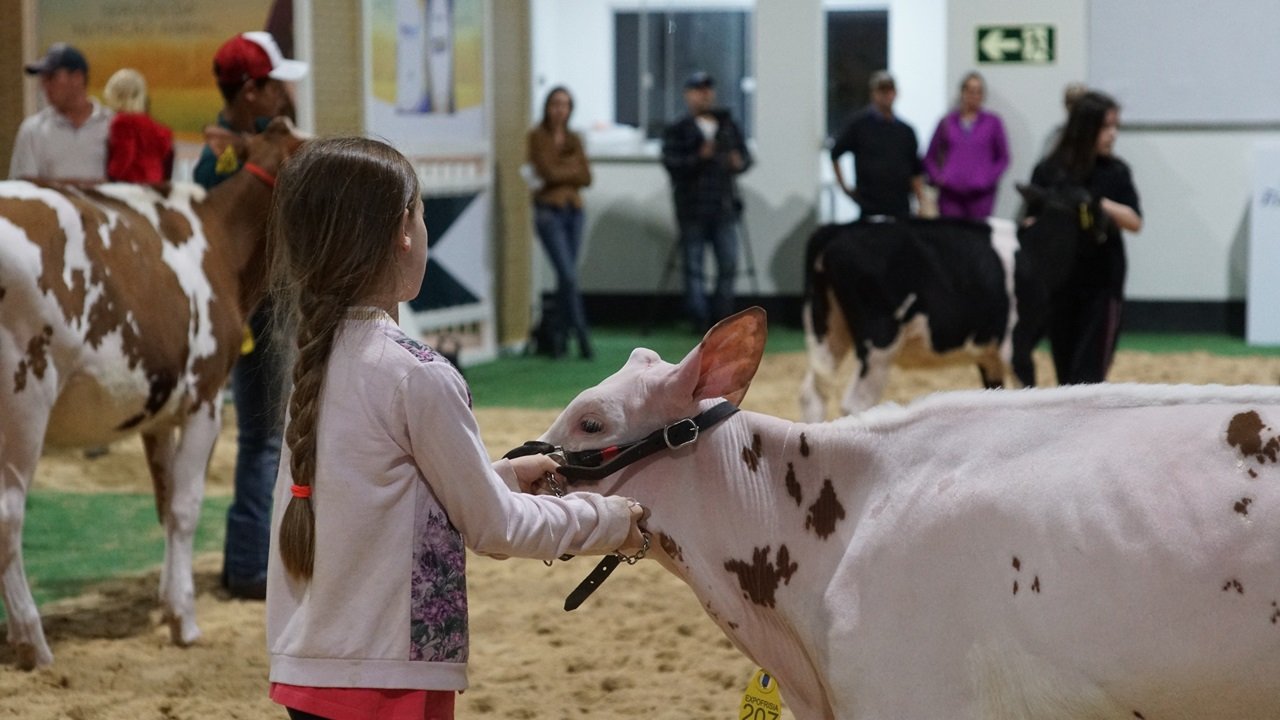 Projeto aproxima público infantil da pecuária leiteira no interior do Paraná Projeto aproxima público infantil da pecuária leiteira no interior do Paraná