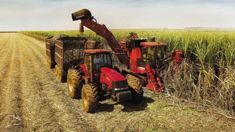 Brasil deve colher 688,6 milhões de toneladas de cana em 2019, diz IBGE Brasil deve colher 688,6 milhões de toneladas de cana em 2019, diz IBGE