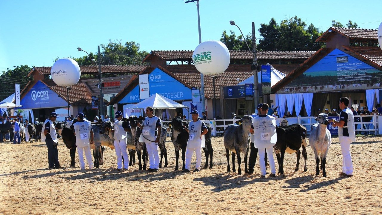 Megaleite 2019 jÃ¡ movimenta a capital mineira