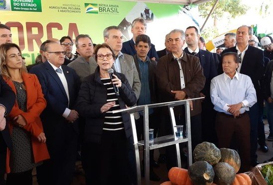 Seguro rural deve ter o dobro de recursos no próximo Plano Safra, diz ministra Seguro rural deve ter o dobro de recursos no próximo Plano Safra, diz ministra