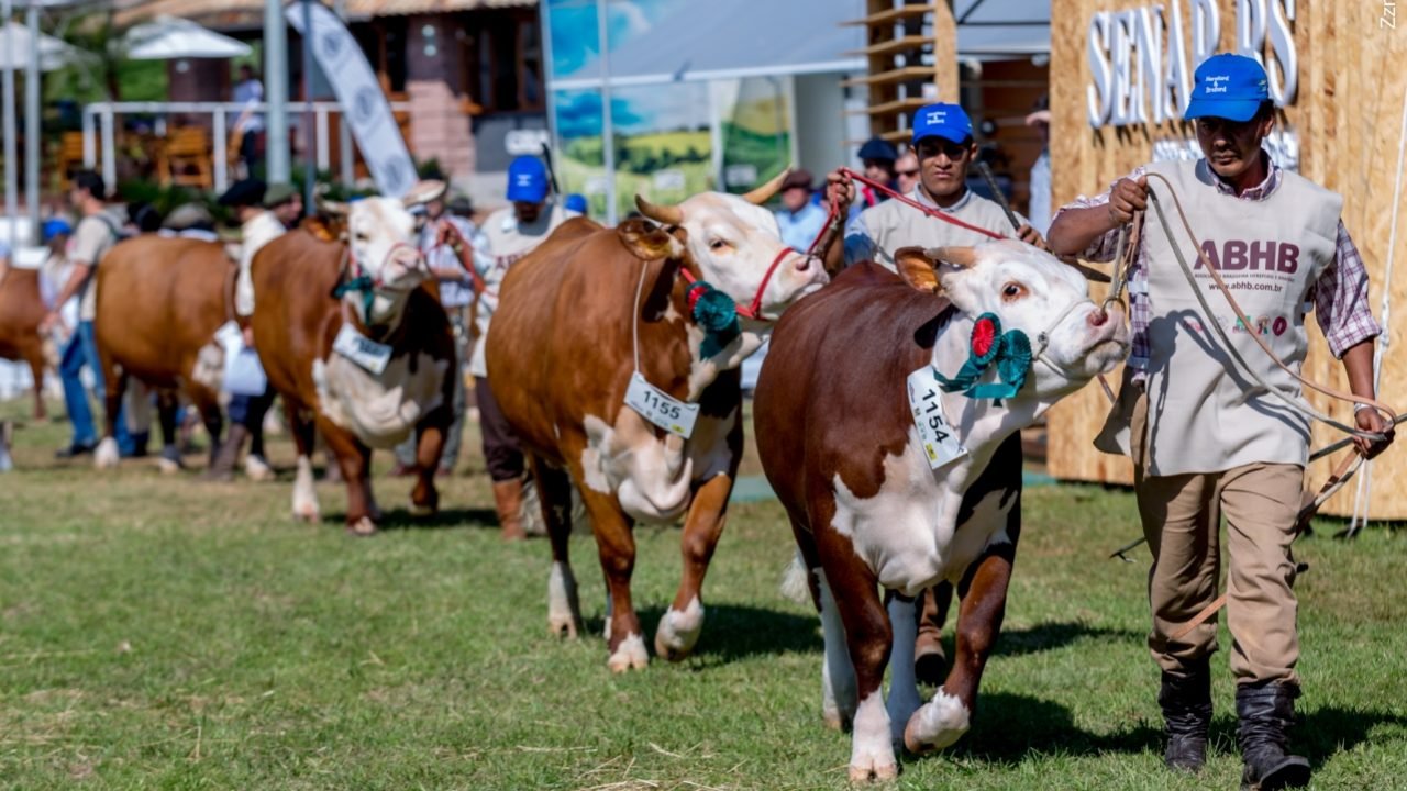 A diversidade de animais nos diferentes pavilhões da Expointer A diversidade de animais nos diferentes pavilhões da Expointer