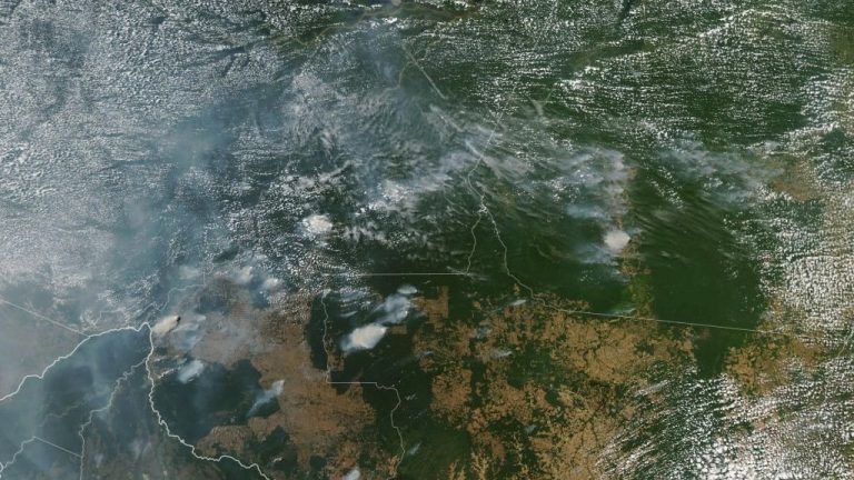 Monitoramento da Nasa mostra aumento de queimadas em Rondônia e no Amazonas Monitoramento da Nasa mostra aumento de queimadas em Rondônia e no Amazonas