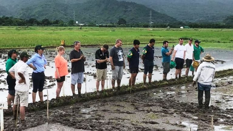 Programa NUFFIELD 2020 abre inscrições para jovens líderes do agronegócio brasileiro Programa NUFFIELD 2020 abre inscrições para jovens líderes do agronegócio brasileiro