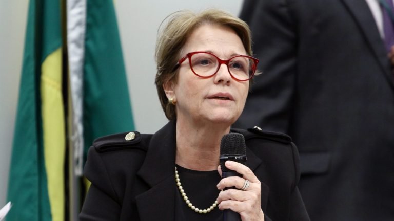 ‘EUA são excelente mercado e vamos reabri-lo’, diz ministra da Agricultura ‘EUA são excelente mercado e vamos reabri-lo’, diz ministra da Agricultura