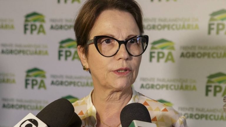 Tereza Cristina: agronegócio deve se unir diante das dificuldades e críticas Tereza Cristina: agronegócio deve se unir diante das dificuldades e críticas