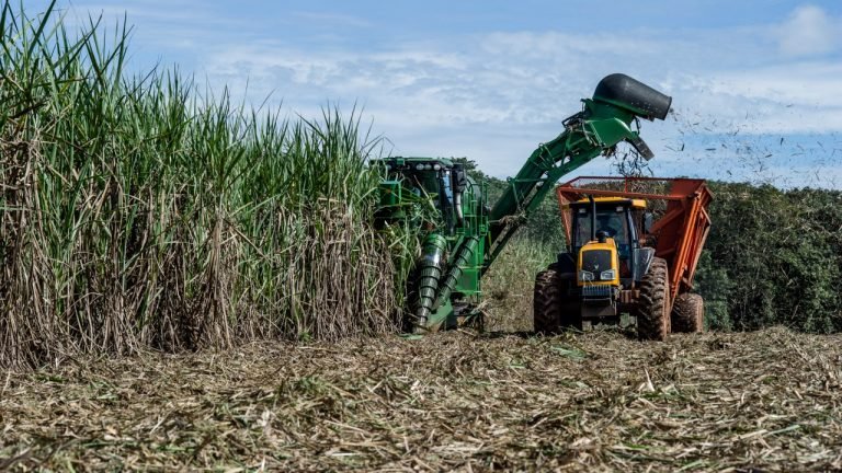 Conferência Internacional Datagro destaca o etanol como grande protagonista do setor sucroenergético Conferência Internacional Datagro destaca o etanol como grande protagonista do setor sucroenergético