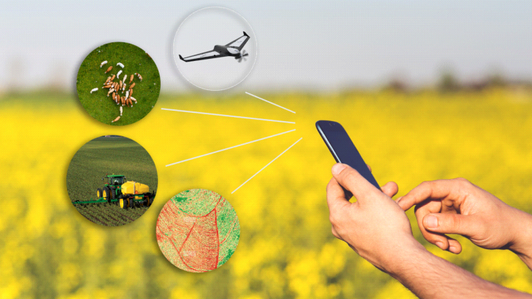 Estudo mapeia 1.125 startups do agronegócio brasileiro Estudo mapeia 1.125 startups do agronegócio brasileiro