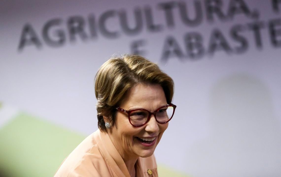 Crédito: Divulgação Crédito: Divulgação