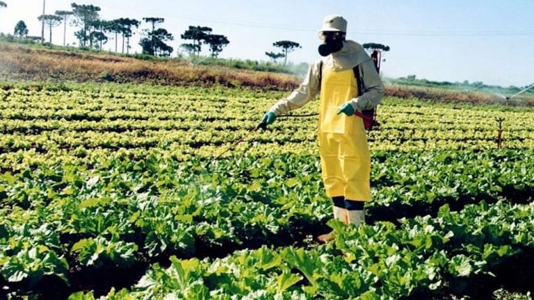Defensivos: Agricultura aprova registro de novos produtos Defensivos: Agricultura aprova registro de novos produtos