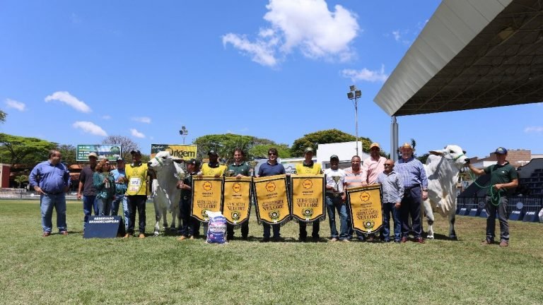 Dorival Gibertoni e Rima fazem os grandes campeões nelore da Expoinel 2019. Dorival Gibertoni e Rima fazem os grandes campeões nelore da Expoinel 2019.